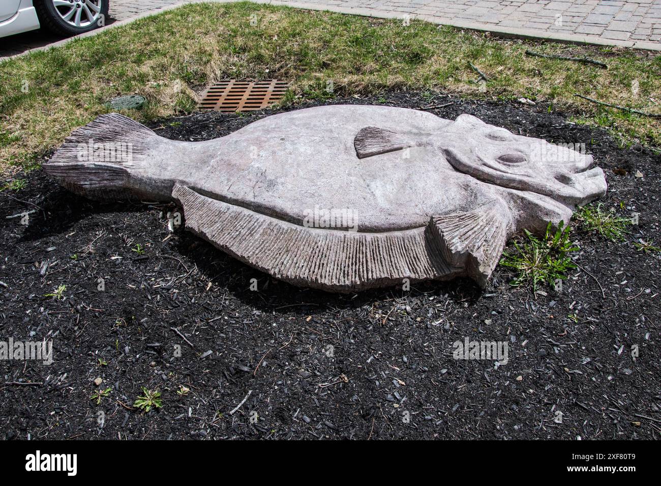 Scultura di un pesce piatto morto giacente sul lato del lungofiume sud nel centro di Fredericton, New Brunswick, Canada Foto Stock