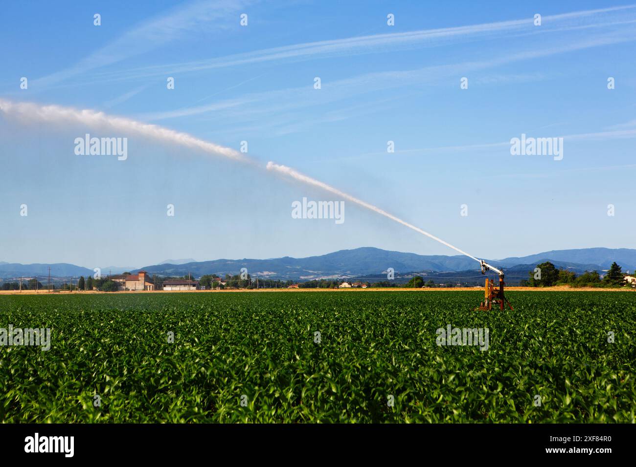 Impianto sprinkler per irrigare i terreni agricoli per mitigare gli effetti della siccità. Foto Stock