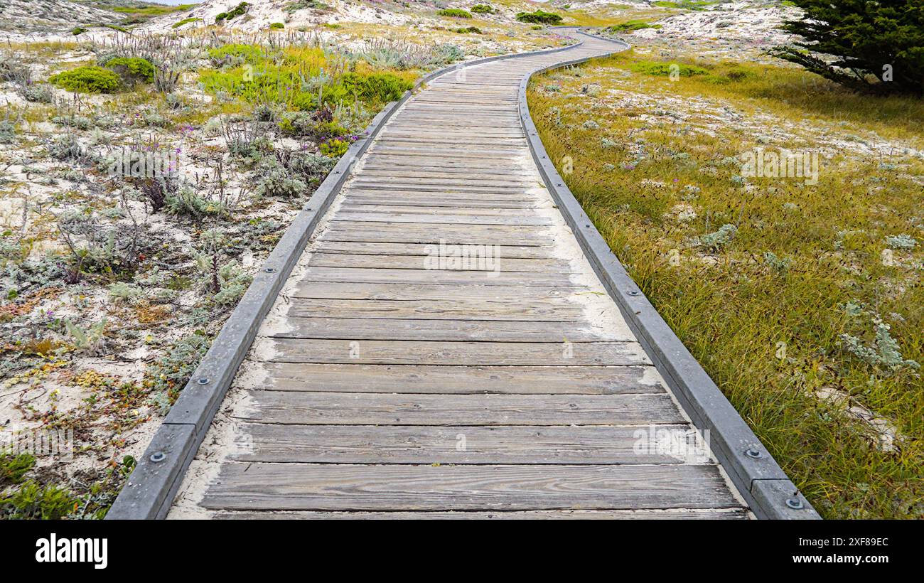 Percorso tortuoso in legno che attraversa le dune di sabbia di Asilomar, California. Foto Stock