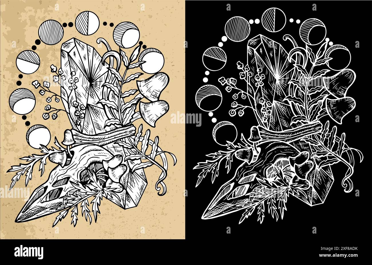 Funghi mistici celesti con elementi decorativi magici e floreali, teschio, fasi lunari, simboli di stregoneria. Oggetti esoterici e strepitosi, tatt Illustrazione Vettoriale Funghi mistici celesti con elementi decorativi magici e floreali, teschio, fasi lunari, simboli di stregoneria. Oggetti esoterici e strepitosi, tatt Illustrazione Vettoriale