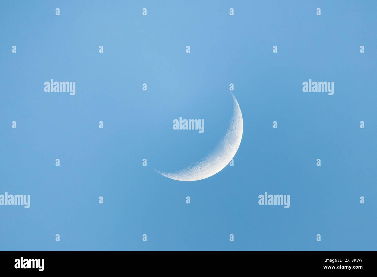 Crescent si trova nel cielo blu di giorno, con vista ravvicinata con dettagli sulla superficie lunare e foto astronomiche naturali Foto Stock