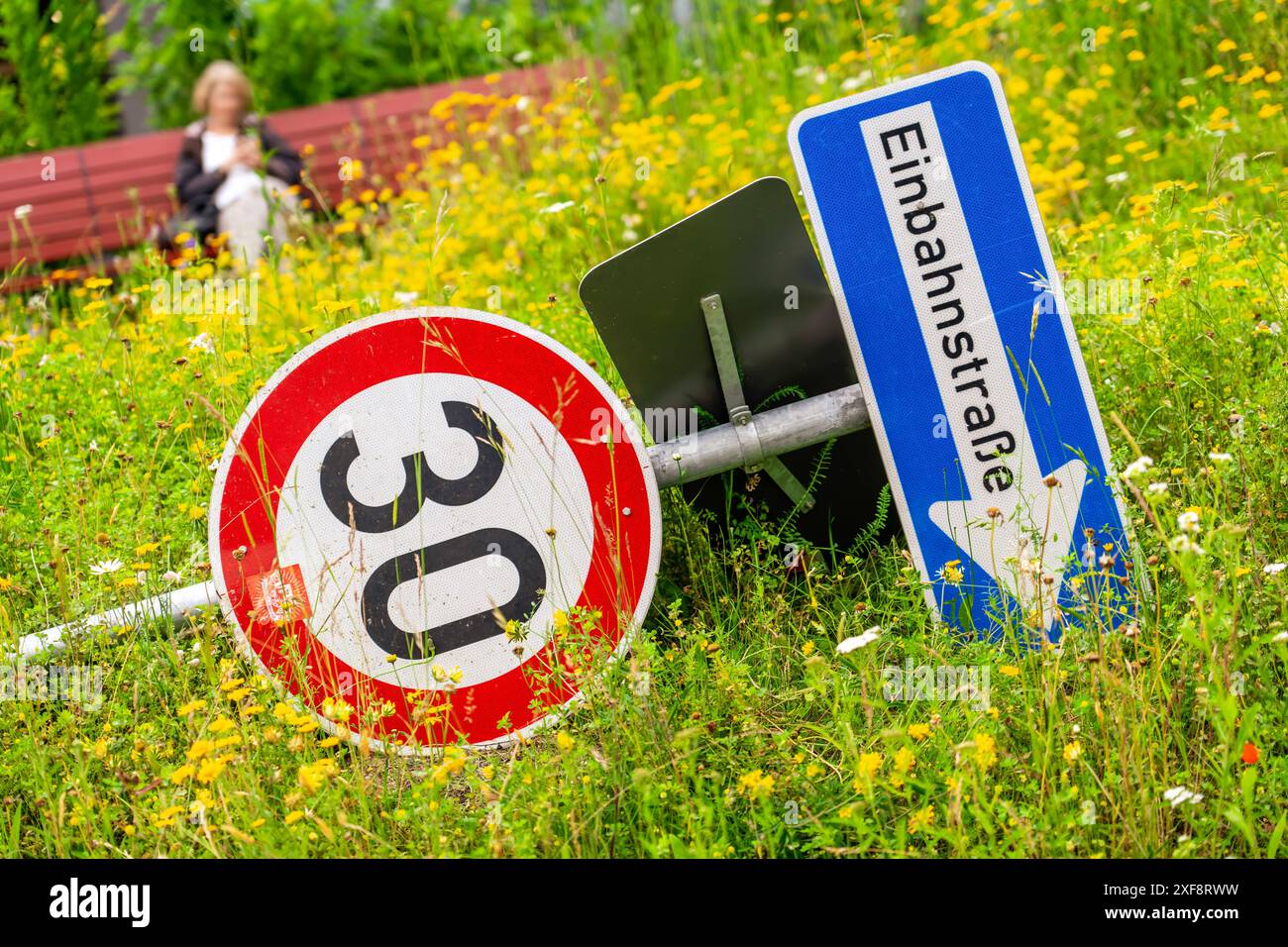 Tempo 30 und Einbahnstraße, Verkehrsschilder liegen im Gras, München, Juli 2024 Deutschland, München, 1. Juli 2024, tempo 30 und Einbahnstraße, Verkehrsschilder liegen im Gras, Schilder sind umgestürzt, Symbolfoto tempo 30, Grüne, Scheitern, Grüne Politik, Verkehr, Verkehrswende, Bayern *** 30 km/h e strada a senso unico, segnali stradali in erba, Monaco di Baviera, 2024 luglio Germania, Monaco di Baviera, 1° luglio, 2024, 30 km/h e strada a senso unico, cartelli stradali nell'erba, segnali rovesciati, foto simbolica 30 km/h, Verdi, fallimento, politica verde, traffico, inversione del traffico, Baviera Foto Stock