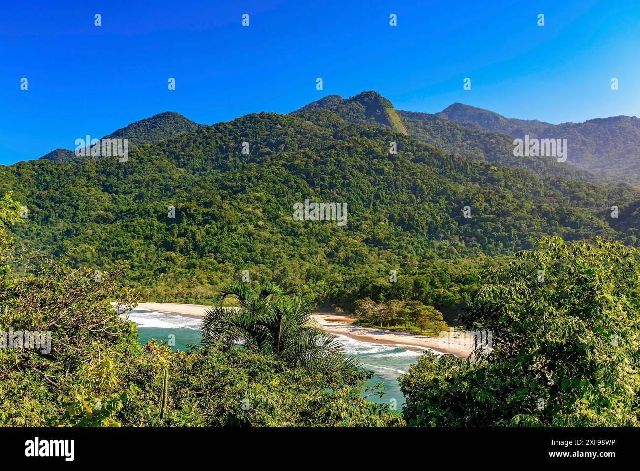 Splendida Bonete Beach sull'isola di Ilhabela nascosta tra il mare e la foresta pluviale, Bonete Beach, Ilhabela, San Paolo, Brasile Foto Stock