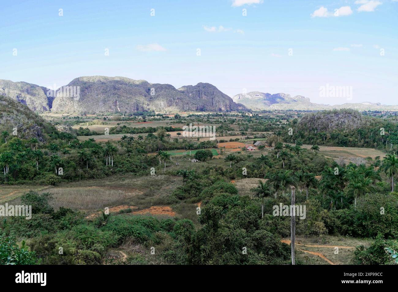 Vinales, sito patrimonio dell'umanità dell'UNESCO, provincia di Pinar del Rio, Cuba, America centrale, Un paesaggio verde con montagne e vegetazione sotto un cielo blu Foto Stock