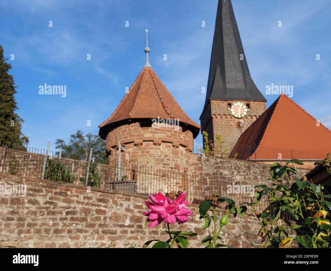 Chiesa storica con una suggestiva torre e tetto rosso, giardino e fiori in primo piano, Kandel, Palatinato, Germania Foto Stock