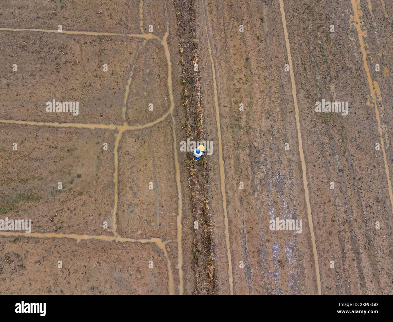 Vista aerea dell'agricoltore che semina semi nel campo in una giornata di sole. Foto Stock