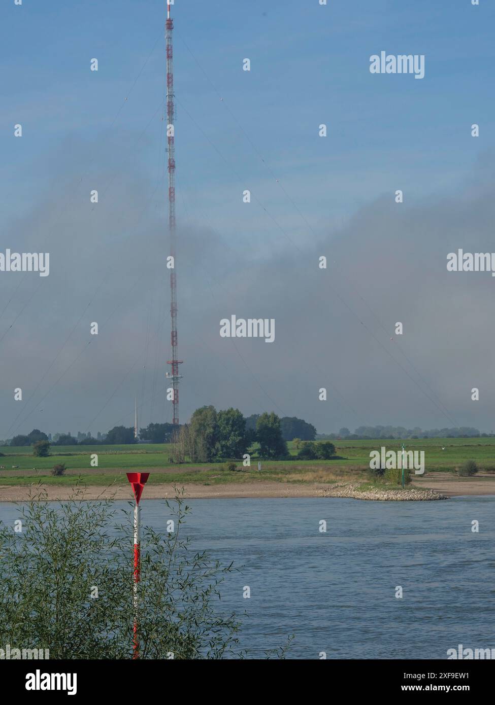 Un alto albero si innalza nel cielo su una sponda nebbiosa, tranquilla zona rurale, wesel, Renania settentrionale-Vestfalia, germania Foto Stock