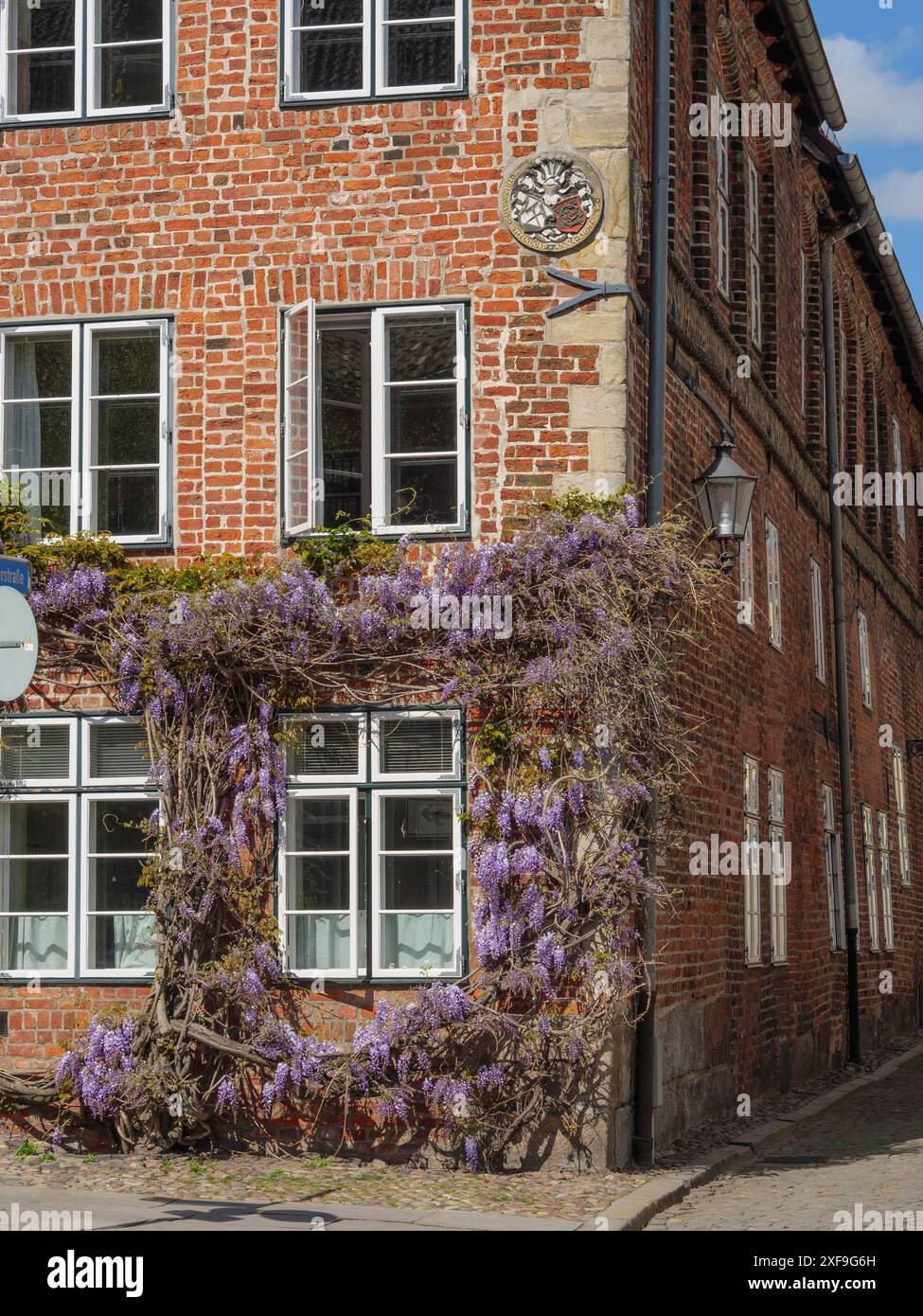 Vecchia casa in mattoni con finestre e edera al sole, lueneburg, germania Foto Stock