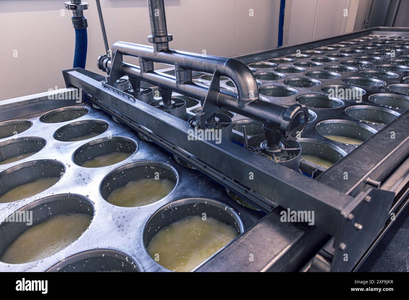 Macchina per la produzione di formaggio industriale che preme la cagliata negli stampi Foto Stock