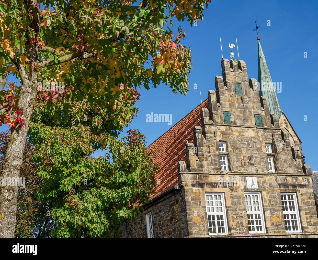 Edificio storico con tetto in piastrelle rosse e chiesa, albero con foglie autunnali, cielo limpido, Schuettorf, Renania settentrionale-Vestfalia, germania Foto Stock