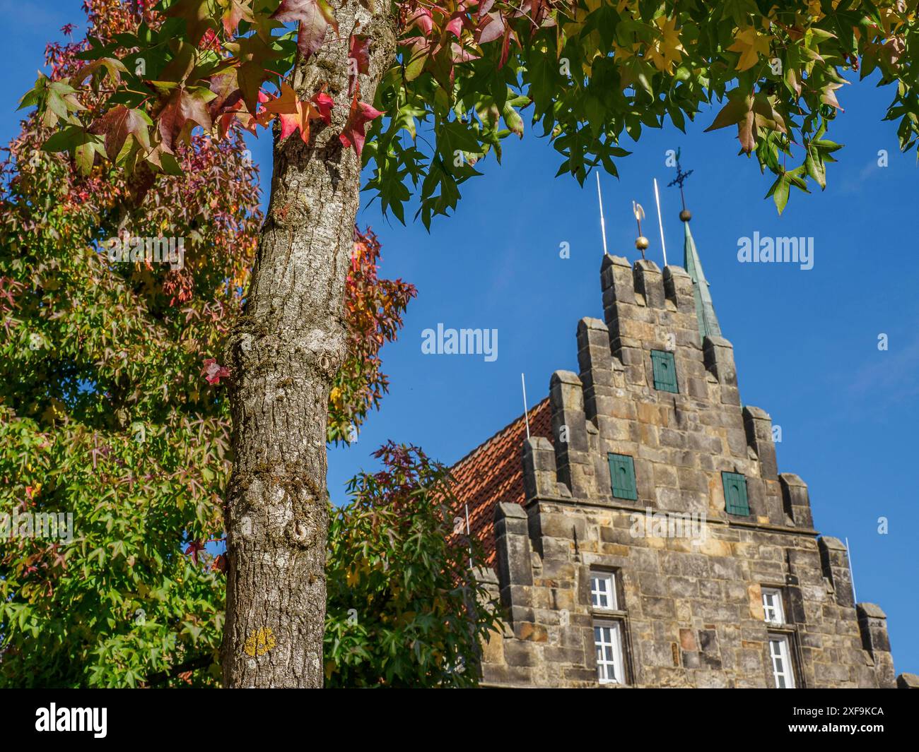 La torre della chiesa sorge dietro un albero con foglie d'autunno colorate ed è incorniciata da un cielo azzurro brillante, schuettorf, Renania settentrionale-Vestfalia, germania Foto Stock