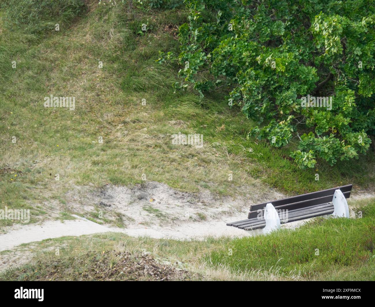 Una panchina del parco si trova su una collina erbosa in mezzo alla natura con un sentiero, Spiekeroog, mare del nord, germania Foto Stock
