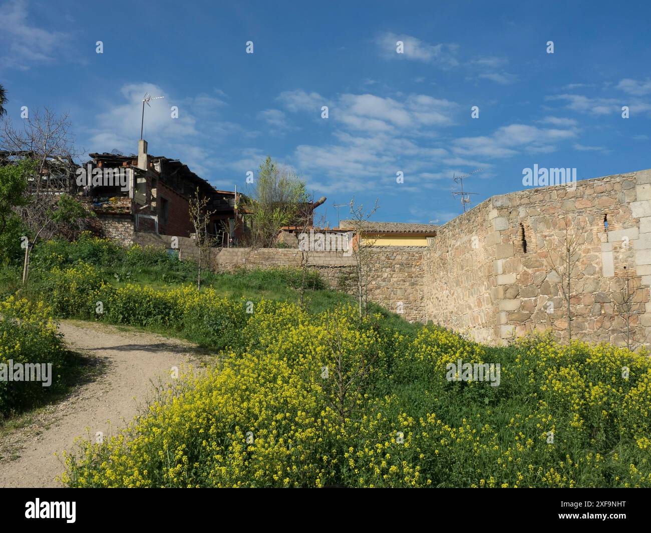 Muro di pietra circondato da piante verdi e fiori gialli sotto un cielo limpido e soleggiato, toledo, spagna Foto Stock