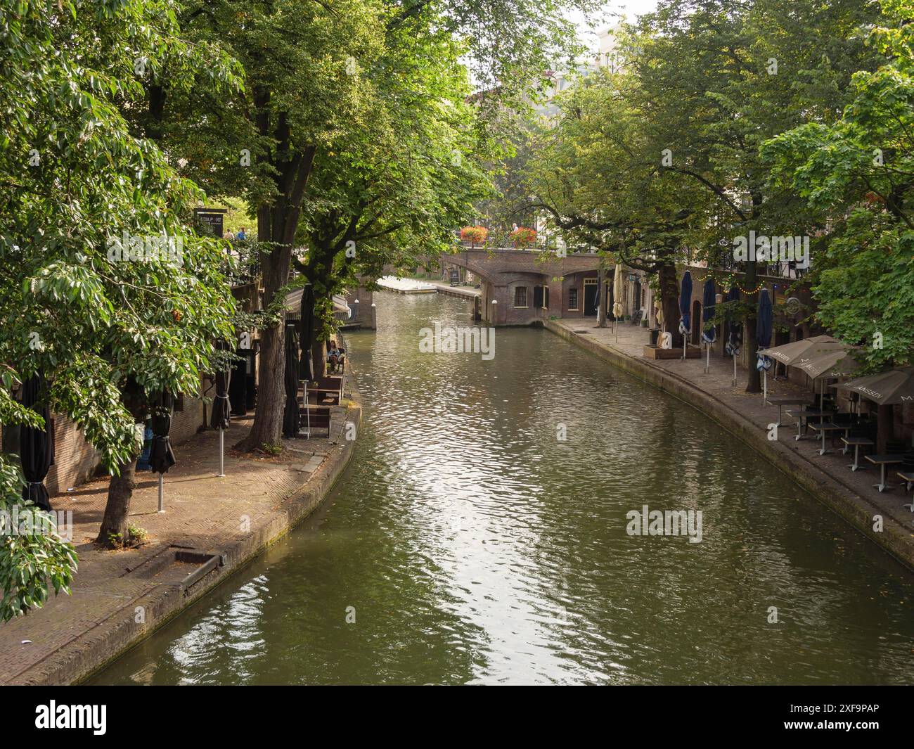 Canale tranquillo circondato da alberi e piccoli ponti in un ambiente urbano, utrecht, paesi bassi Foto Stock