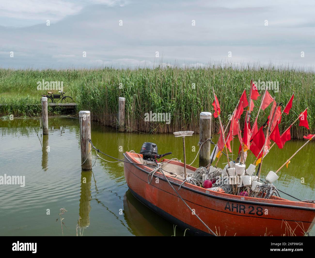 Una piccola barca con bandiere rosse in acqua dietro canne e pali di legno, ahrenshoop, zingst, Mar Baltico, Germania Foto Stock