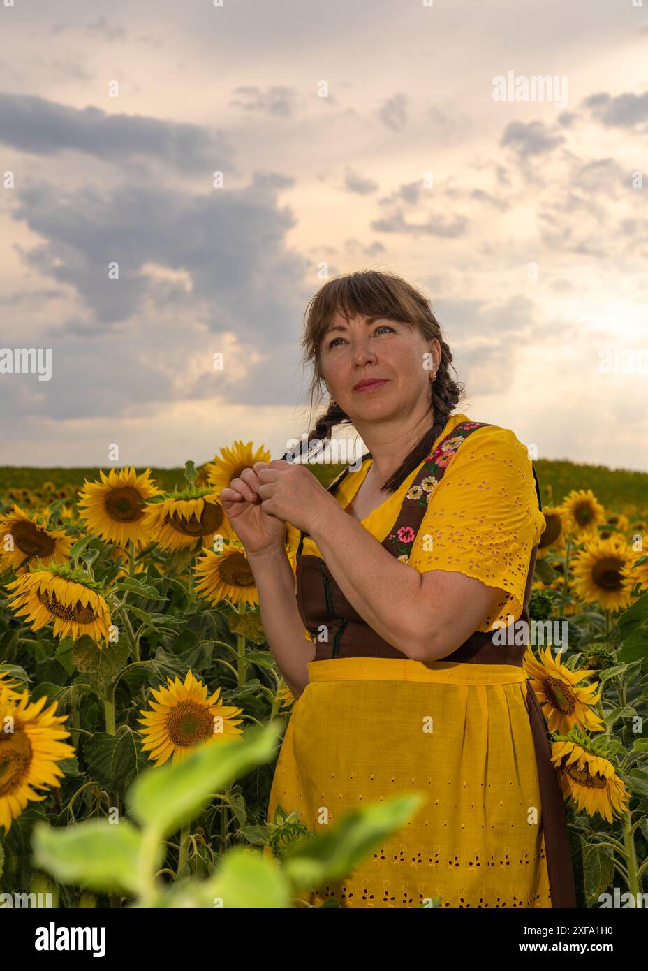 Una donna è in piedi in mezzo a un campo con molti girasoli gialli. Capelli intrecciati, vestiti con abiti nazionali tedeschi, camicetta gialla, pondr marrone Foto Stock