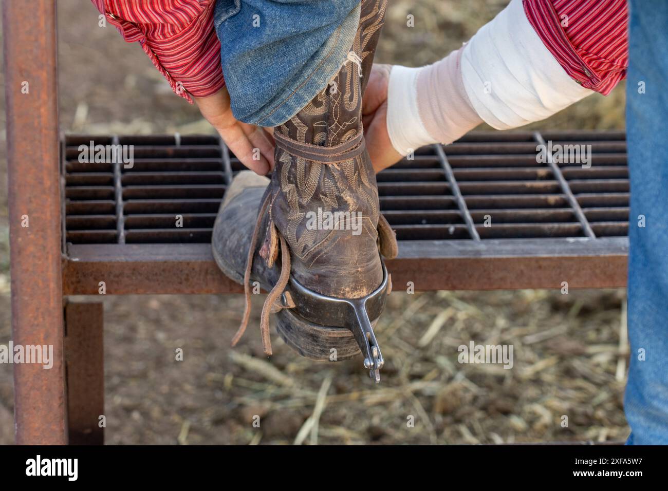 Un cowboy di rodeo indossa i suoi speroni prima del suo evento di bareback in un rodeo nella campagna dello Utah. Foto Stock