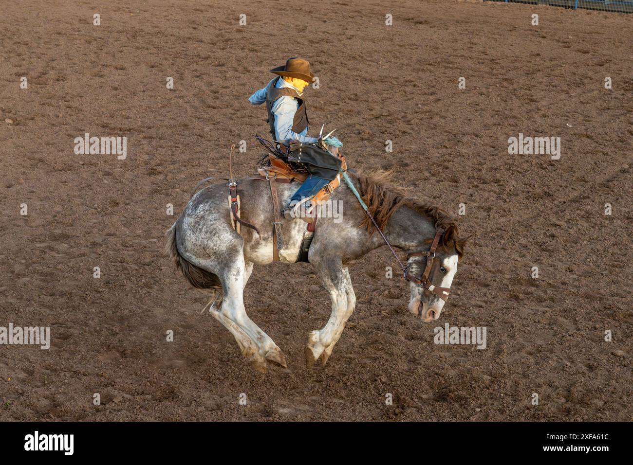 Il cowboy professionista del rodeo Jack Skavdahl partecipa all'evento Saddle bronc in un rodeo nello Utah. Questo stile di bucking si chiama salto di corvo. Foto Stock