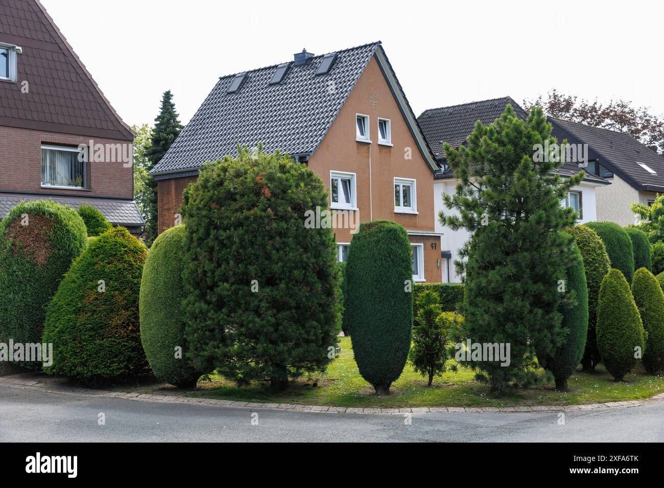 Arbusti di siepi rifiniti con precisione in un giardino frontale nel quartiere Eving di Dortmund, Renania settentrionale-Vestfalia, Germania. Akkurat geschnittene Heckenstrae Foto Stock