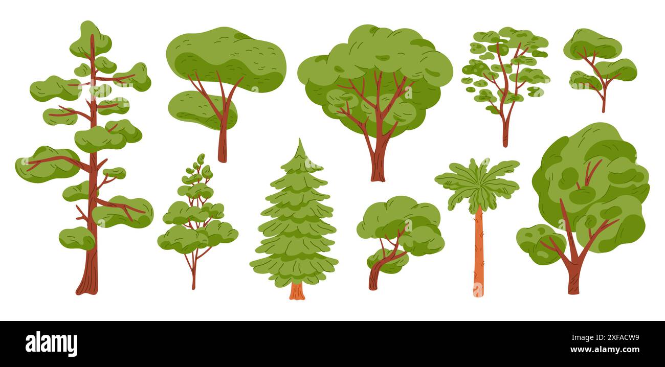 Alberi dei cartoni animati. Diversi tipi di piante forestali. Conifere e decidue. Pino estivo. Quercia alta. Legno basso. Foglie di corone verdi. Tronchi marroni. Landsc Illustrazione Vettoriale