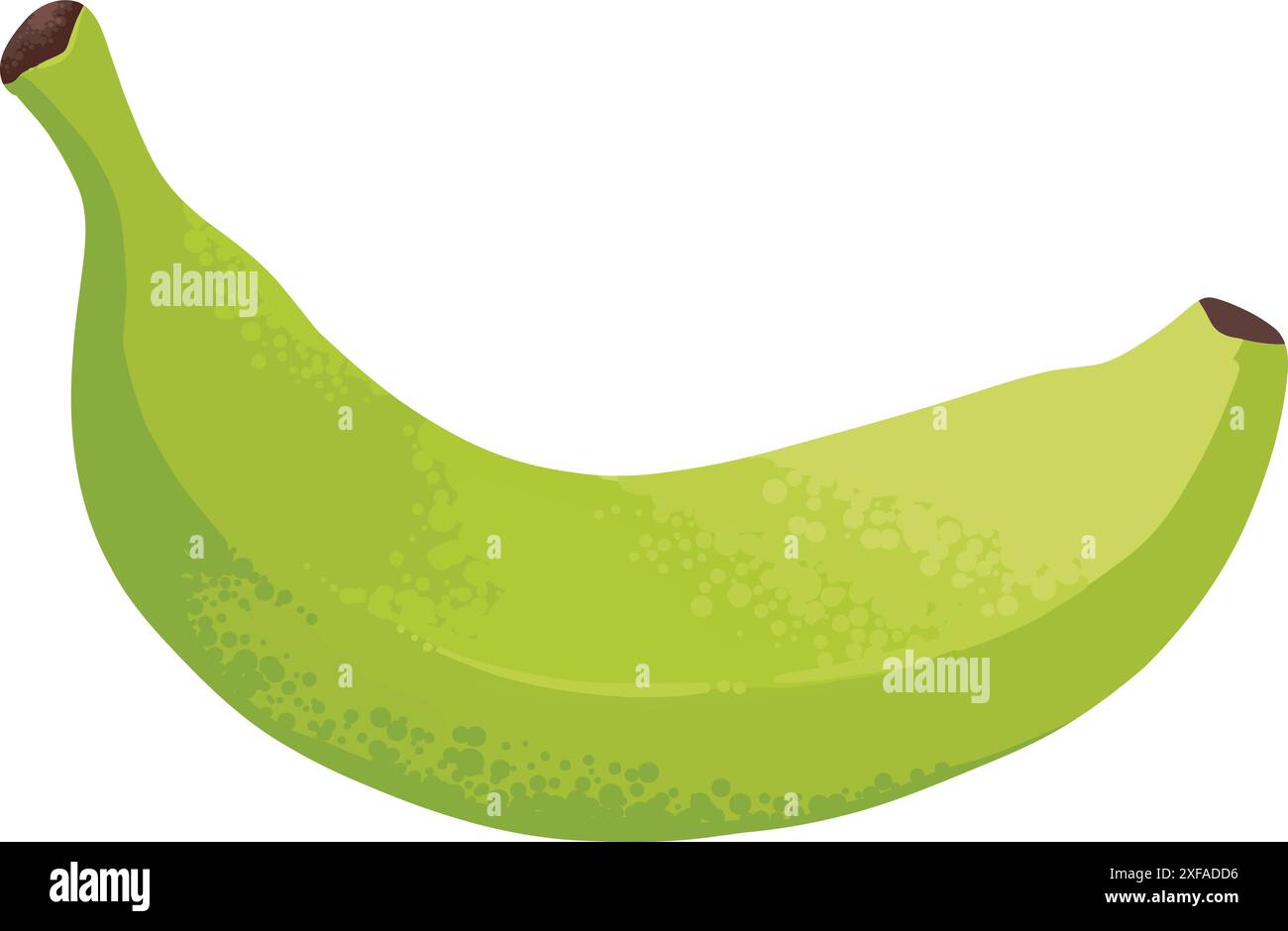 Fase di maturazione delle banane. Diversi colori di buccia di frutta biologica, dal verde al marrone, frutta marcio biologica e frutta matura fresca. Vegetariano vettore di cibo sano di Illustrazione Vettoriale