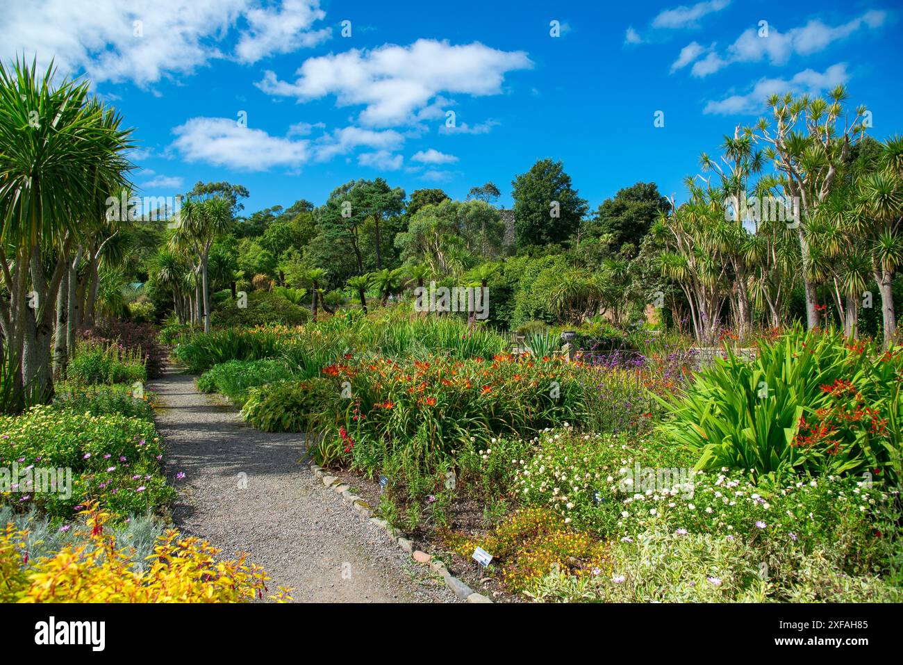 Un sentiero che attraversa aiuole ai giardini botanici logan Foto Stock