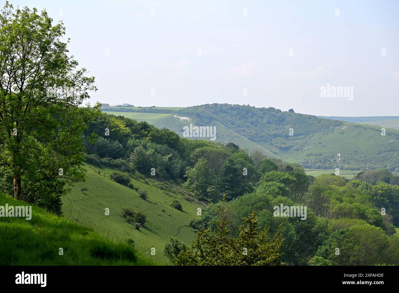 Litlington White Horse, South Downs Foto Stock