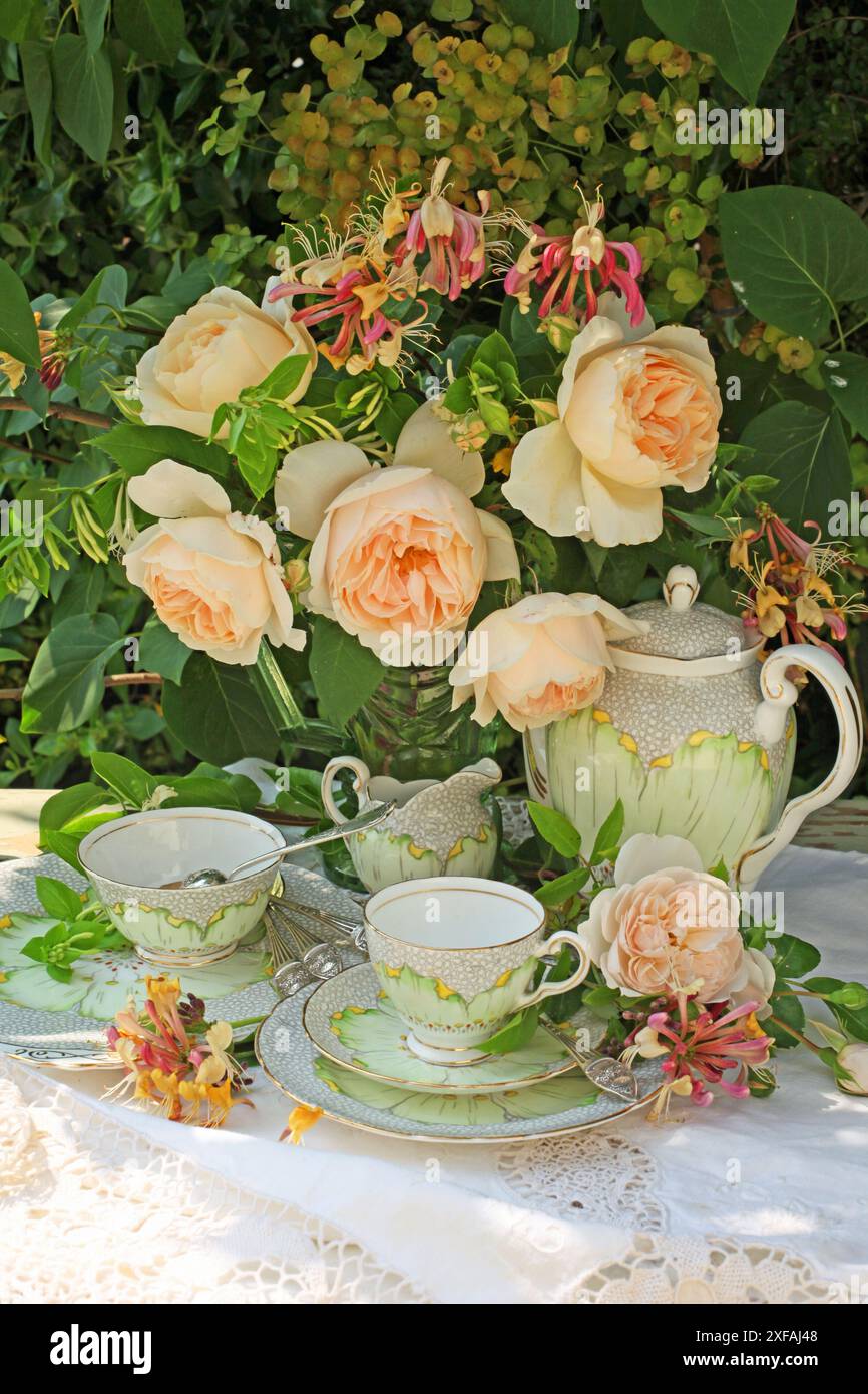 Botanica, servizio di tè in porcellana su un tavolo ricoperto di tovaglia di pizzo, INFORMAZIONI AGGIUNTIVE-DIRITTI-CLEARANCE-NON-DISPONIBILI Foto Stock