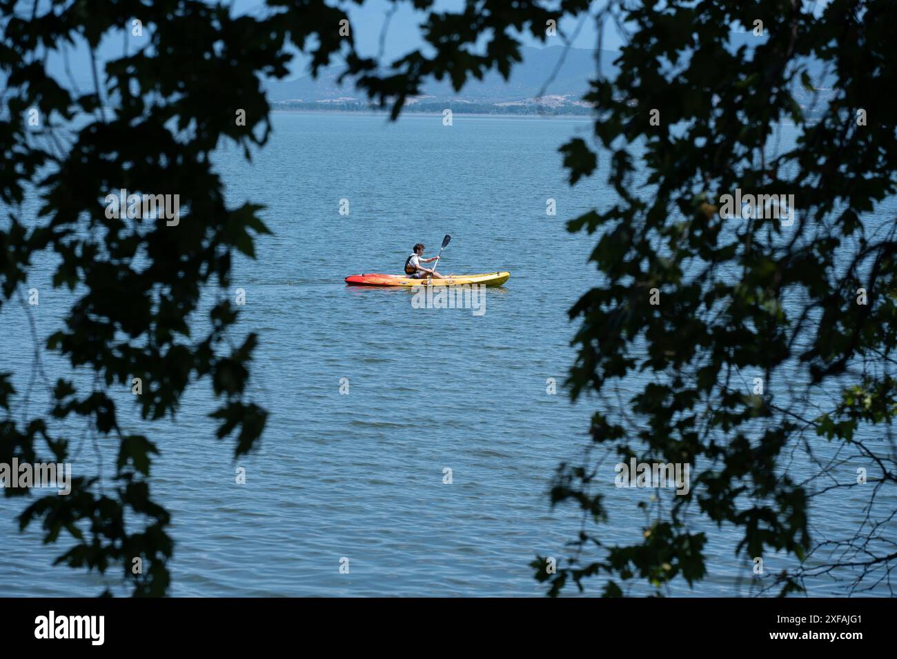 Canoa incorniciata da Tree Branches: Un giovane con pagaia che si diverte d'estate. Foto Stock