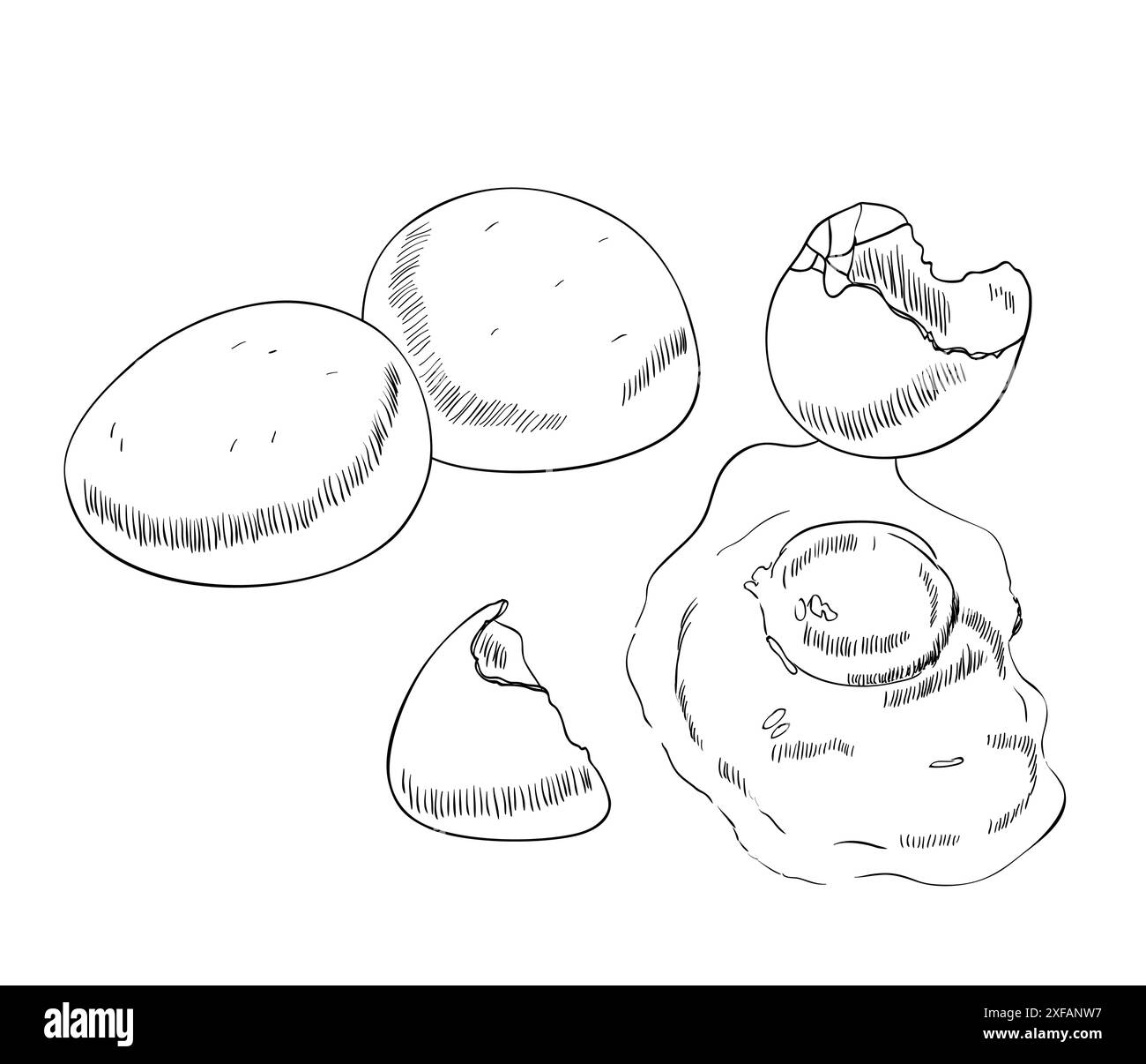 Uova di pollo strapazzate disegnate a mano. Allevamento di uccelli rurali. Illustrazione Vettoriale