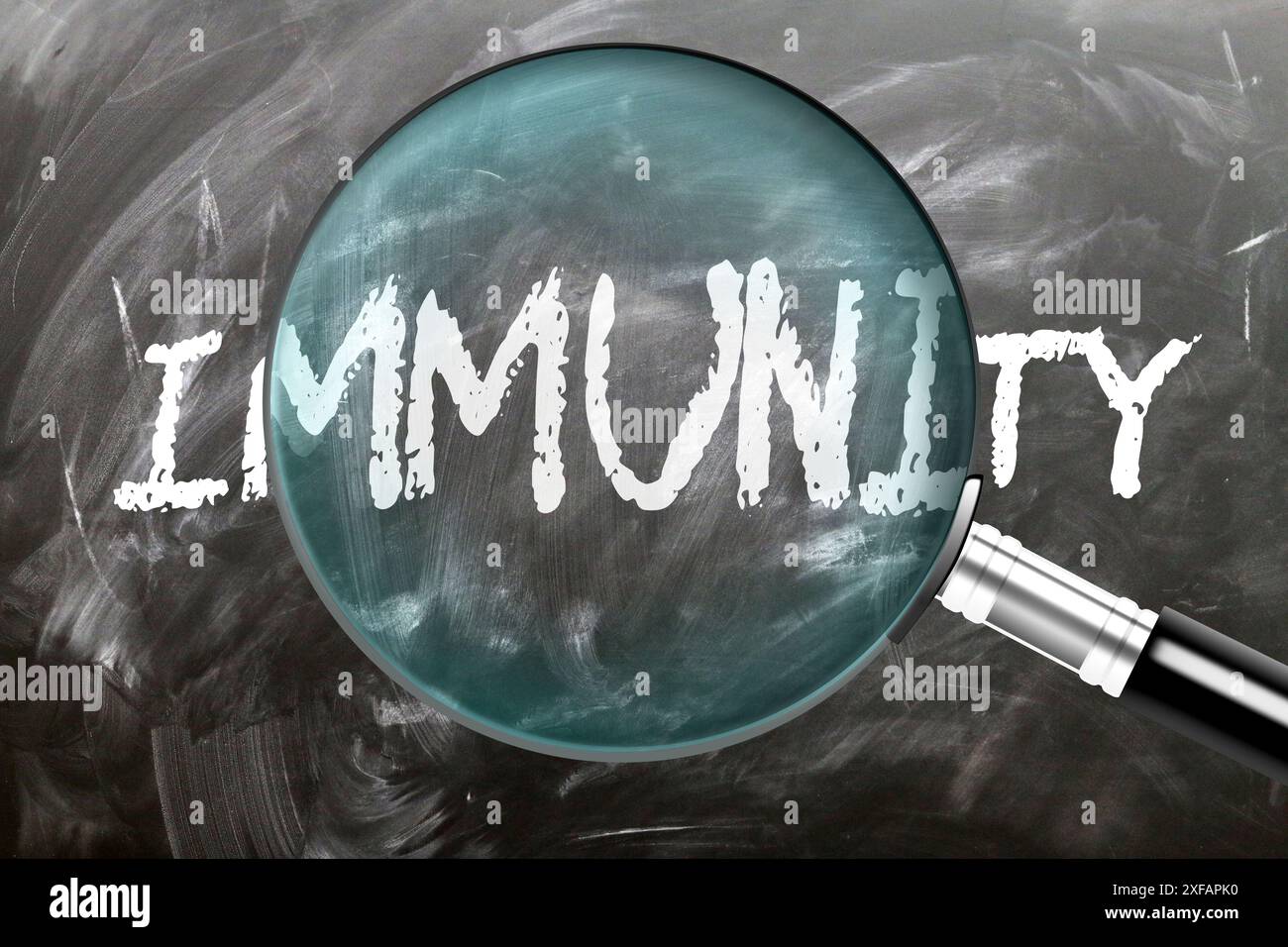 Immunità - imparate, studiate e ispezionate. Un'occhiata più da vicino all'immunità. Una lente d'ingrandimento che ingrandisce la parola "immunità" scritta su una lavagna Foto Stock