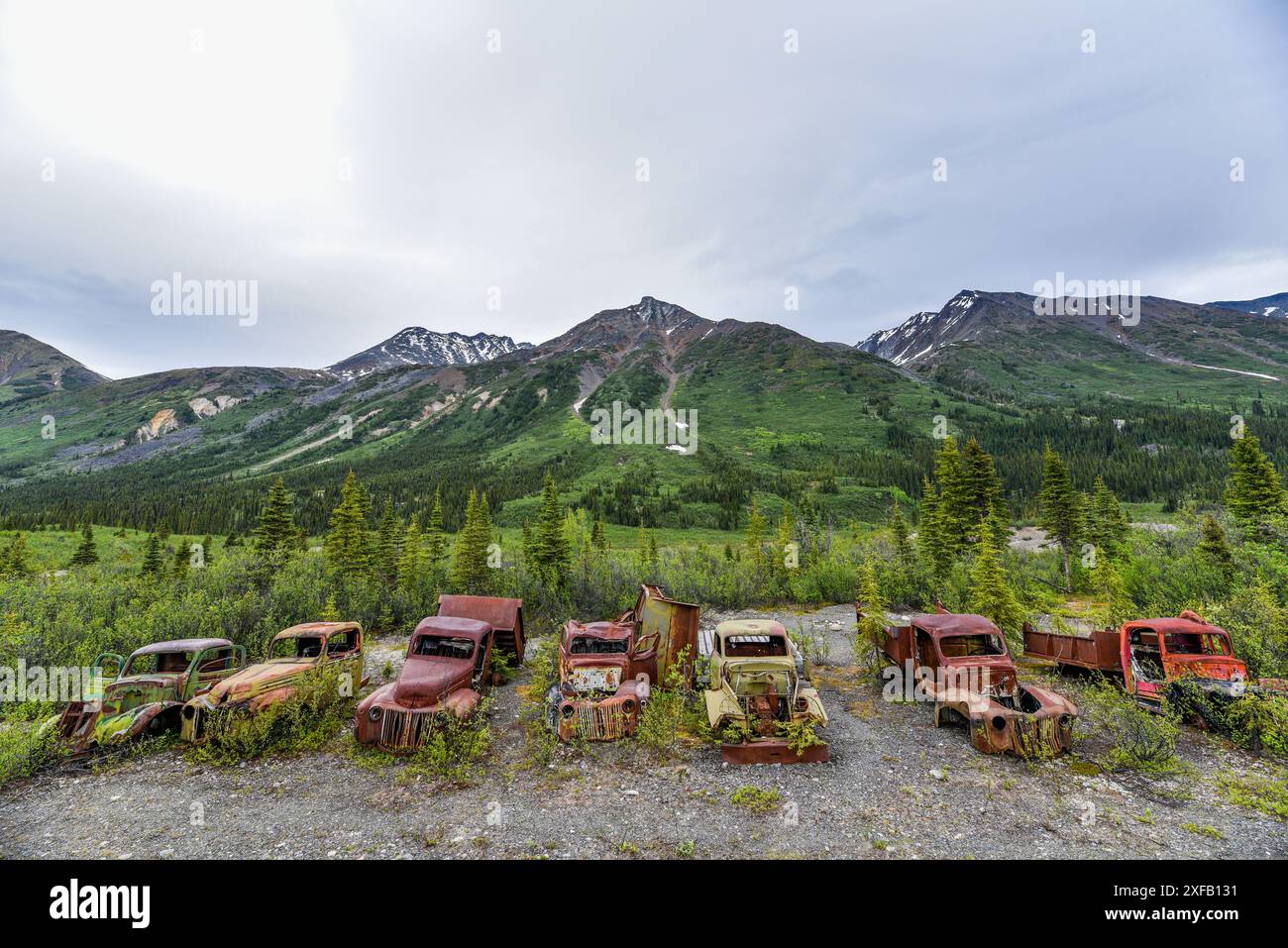 Vecchi camion d'epoca arrugginiti annidati nella natura selvaggia con lo sfondo delle montagne in estate e il tramonto. Preso nel territorio dello Yukon, Canada. Foto Stock