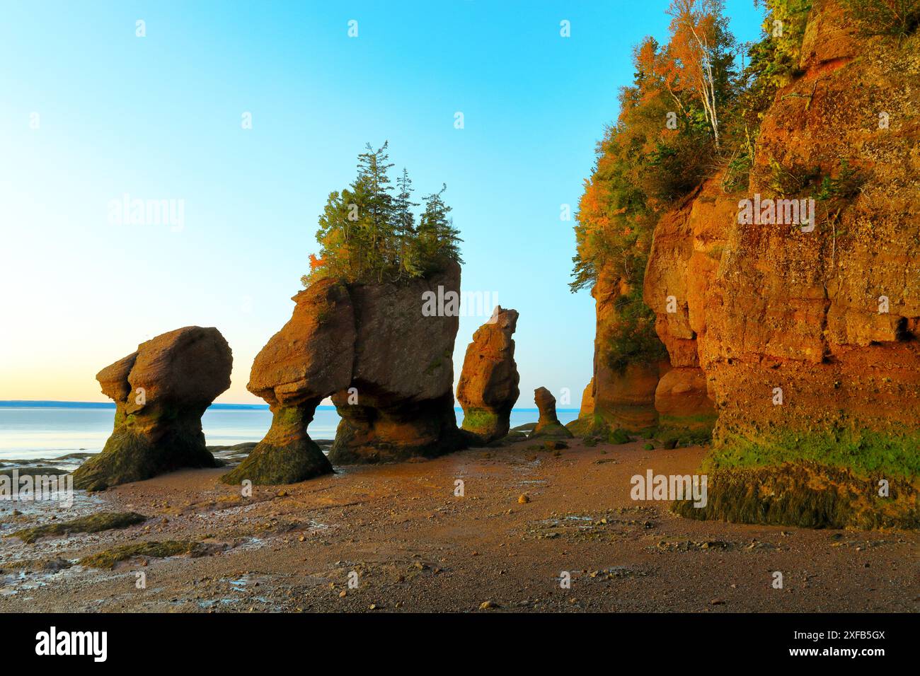 Geografia / viaggi, Canada, Cape Hopewell, New Brunswick, Flowerpot Rocks all'alba e bassa marea, ULTERIORI DIRITTI-AUTORIZZAZIONE-INFORMAZIONI-NON-DISPONIBILI Foto Stock