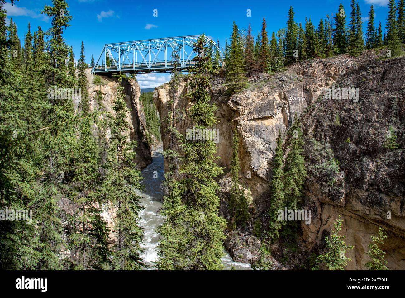 Magnifico Canyon di Lapie situato nel territorio dello Yukon, Canada settentrionale. In estate, quando il canyon è in piena fioritura estiva. Foto Stock