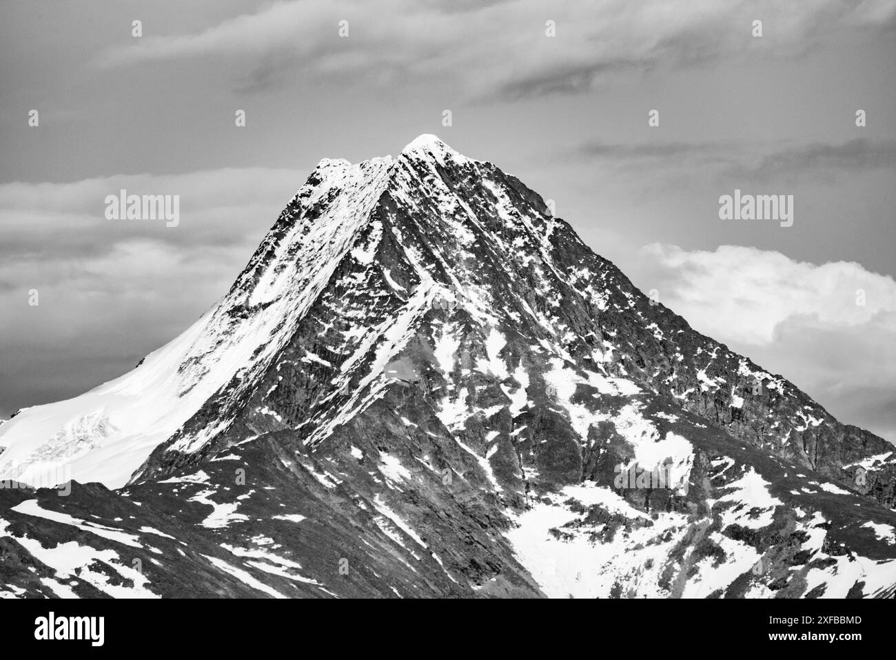 Area panoramica nella natura selvaggia del territorio dello Yukon, Canada durante l'estate con foresta boreale e montagne innevate. Foto Stock
