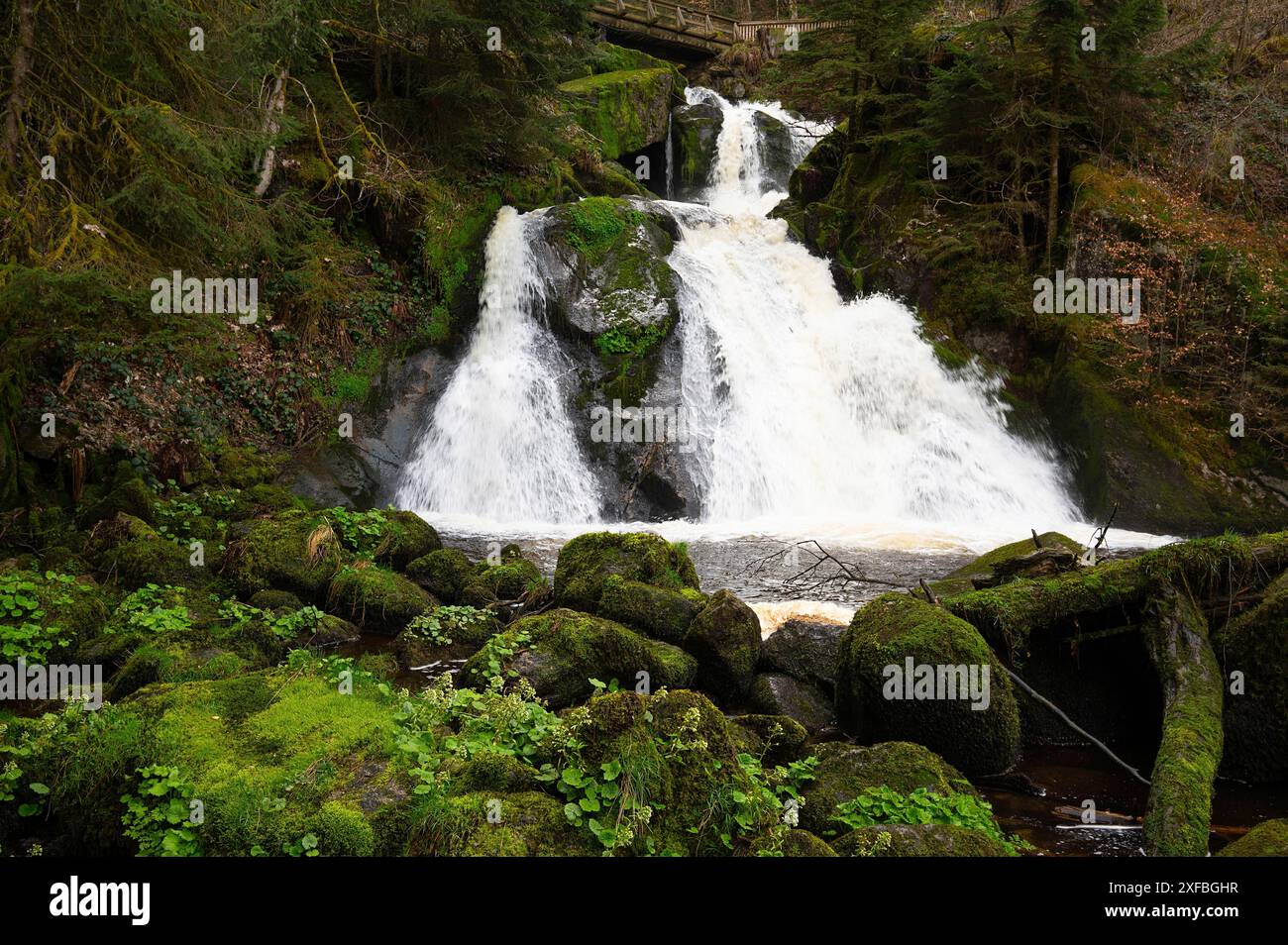 Cascata di Triberg nella Foresta Nera, la più alta cascata della Germania, il fiume Gutach si tuffa su sette passi principali nella valle, ponte di legno Foto Stock