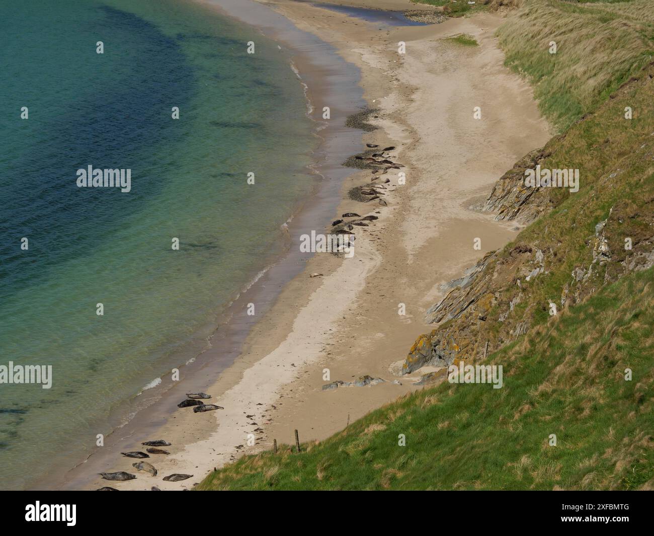 Spiaggia tranquilla con spiaggia sabbiosa, pietre, onde dolci e colline erbose sullo sfondo, lerwick, shetlands, scozia, regno unito Foto Stock