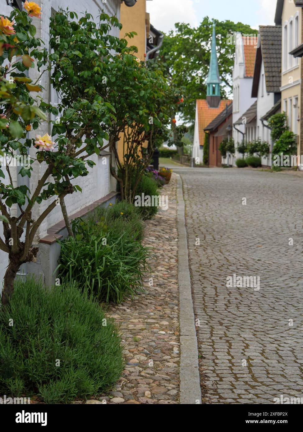 Strada lastricata con giardini ben tenuti e case terrazzate in un villaggio idilliaco, maasholm, germania Foto Stock