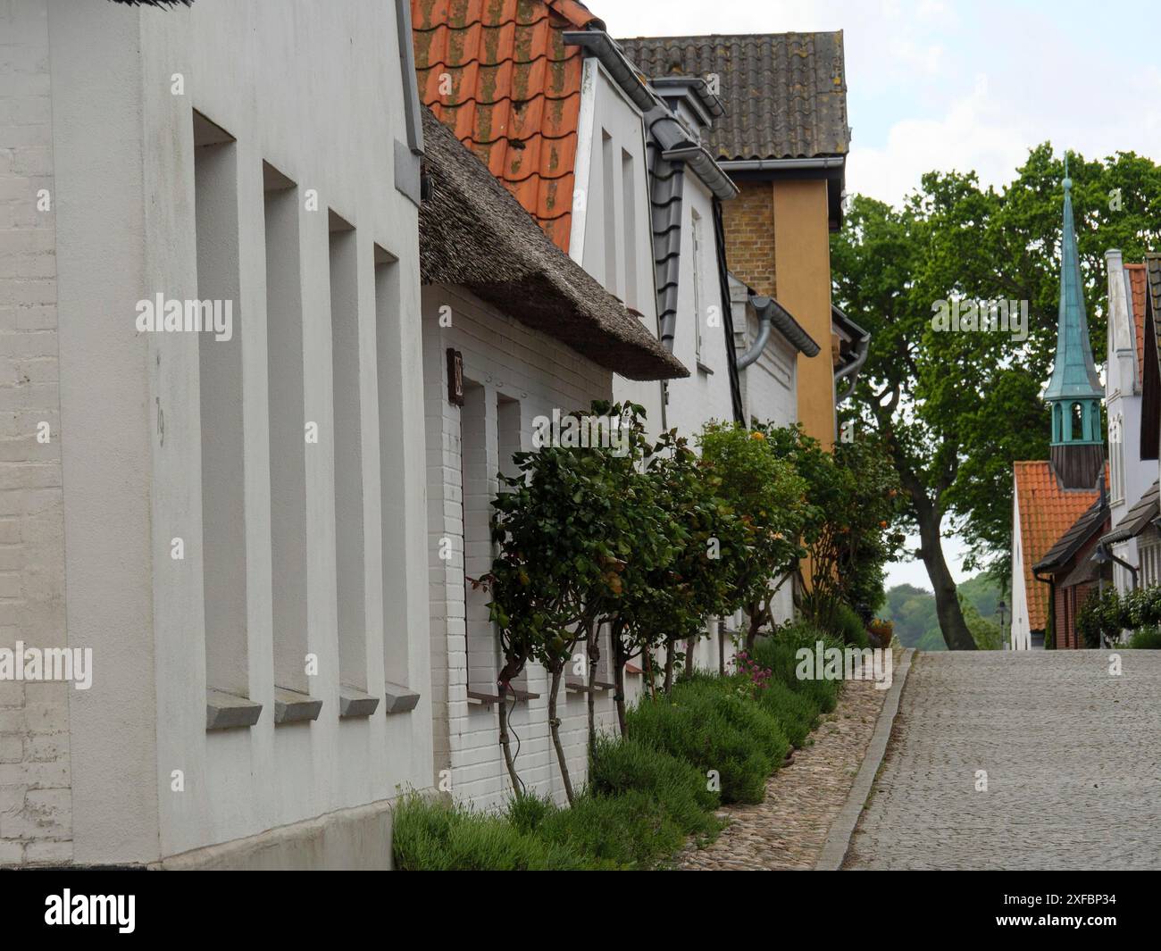 Strada lastricata con case a schiera e giardini ben tenuti in un tranquillo villaggio, maasholm, germania Foto Stock