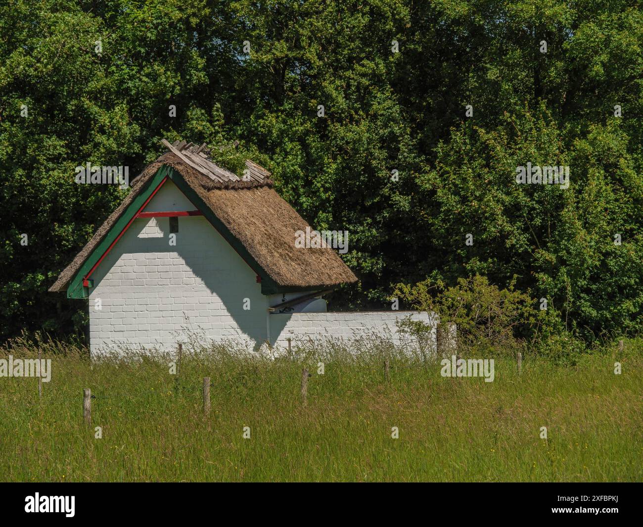 Una tradizionale capanna con tetto di paglia è nascosta tra erba alta e alberi fitti, Flesnburg, Holnis, Germania Foto Stock