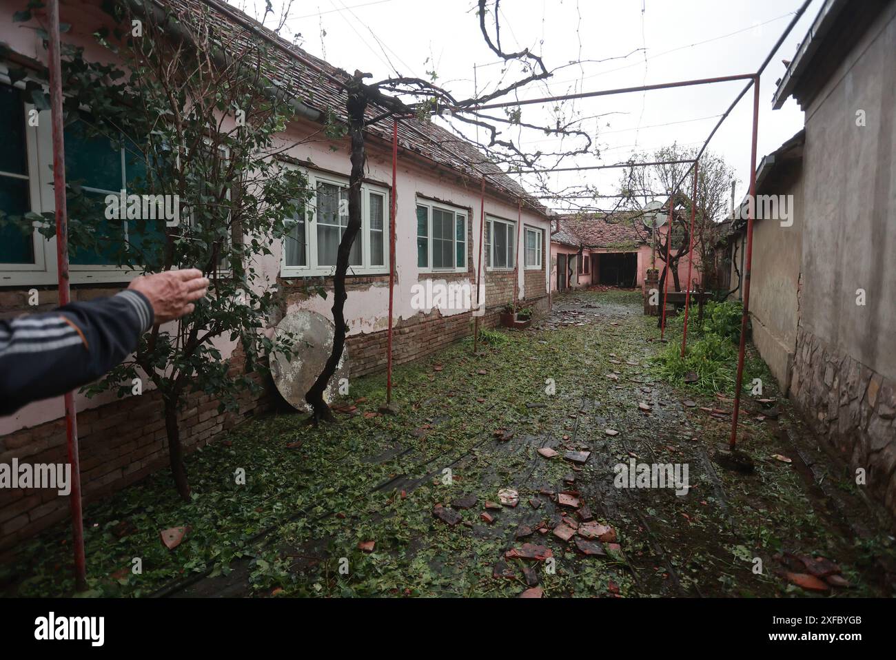 Bosnjaci, Croazia. 2 luglio 2024. Dopo la tempesta di grandine che ha colpito il villaggio di Bosnjaci, Croazia, il 02. Luglio 2024. La tempesta di grandine era grande quanto una palla da tennis e case danneggiate, chiesa locale, automobili, serre e raccolti. Foto: Davor Javorovic/PIXSELL credito: Pixsell/Alamy Live News Foto Stock