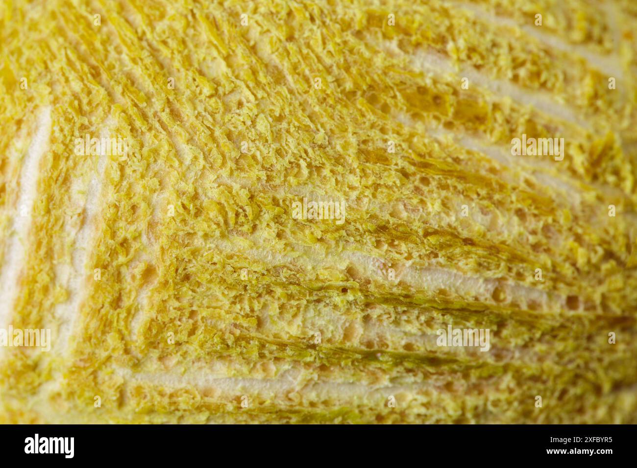 Una superficie gialla con una trama sgranata. Il colore giallo è dominante e la trama conferisce alla superficie un aspetto ruvido e irregolare. La scena è qualcosa Foto Stock