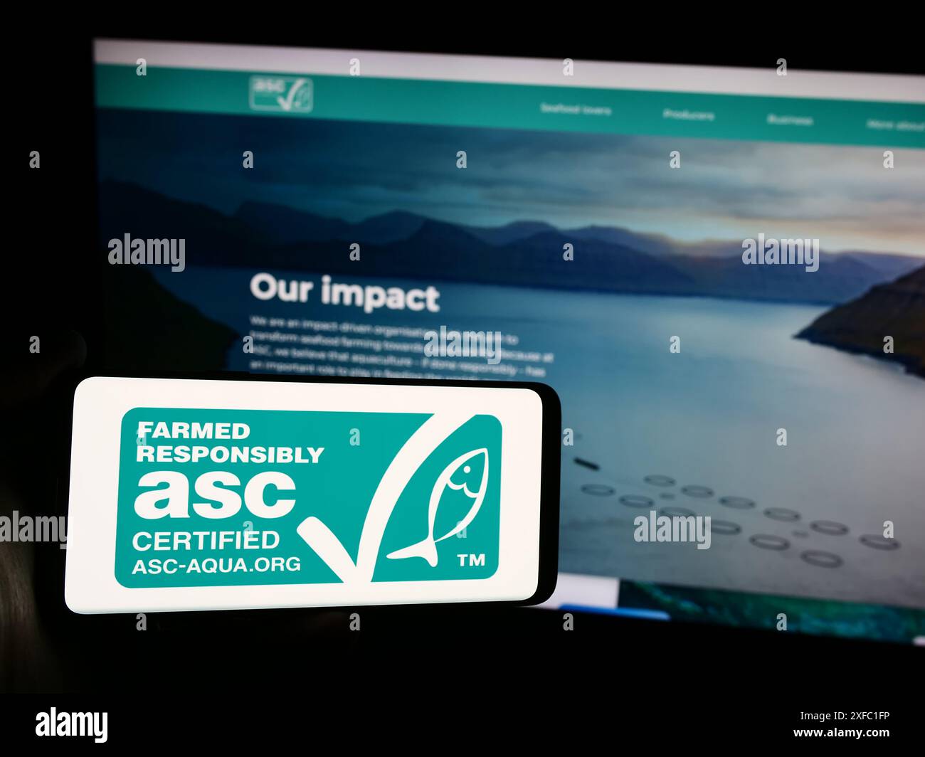 Persona che possiede uno smartphone con il logo dell’organizzazione Acquacoltura Stewardship Council (ASC) davanti al sito web. Mettere a fuoco il display del telefono. Foto Stock