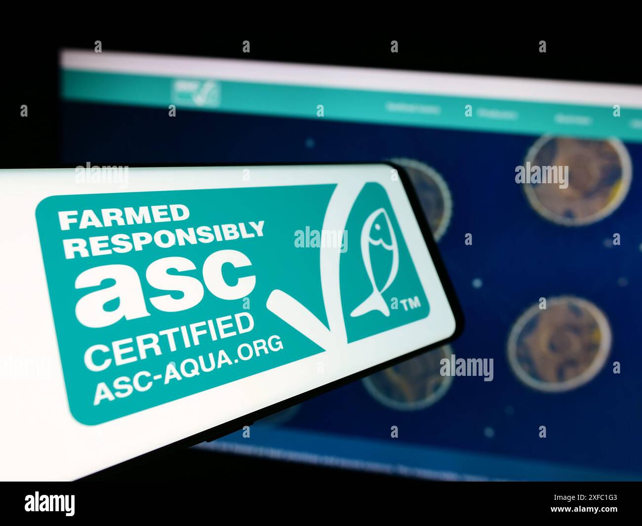Telefono cellulare con logo dell'organizzazione Aquacoltura Stewardship Council (ASC) davanti al sito web. Mettere a fuoco la parte centrale sinistra del display del telefono. Foto Stock