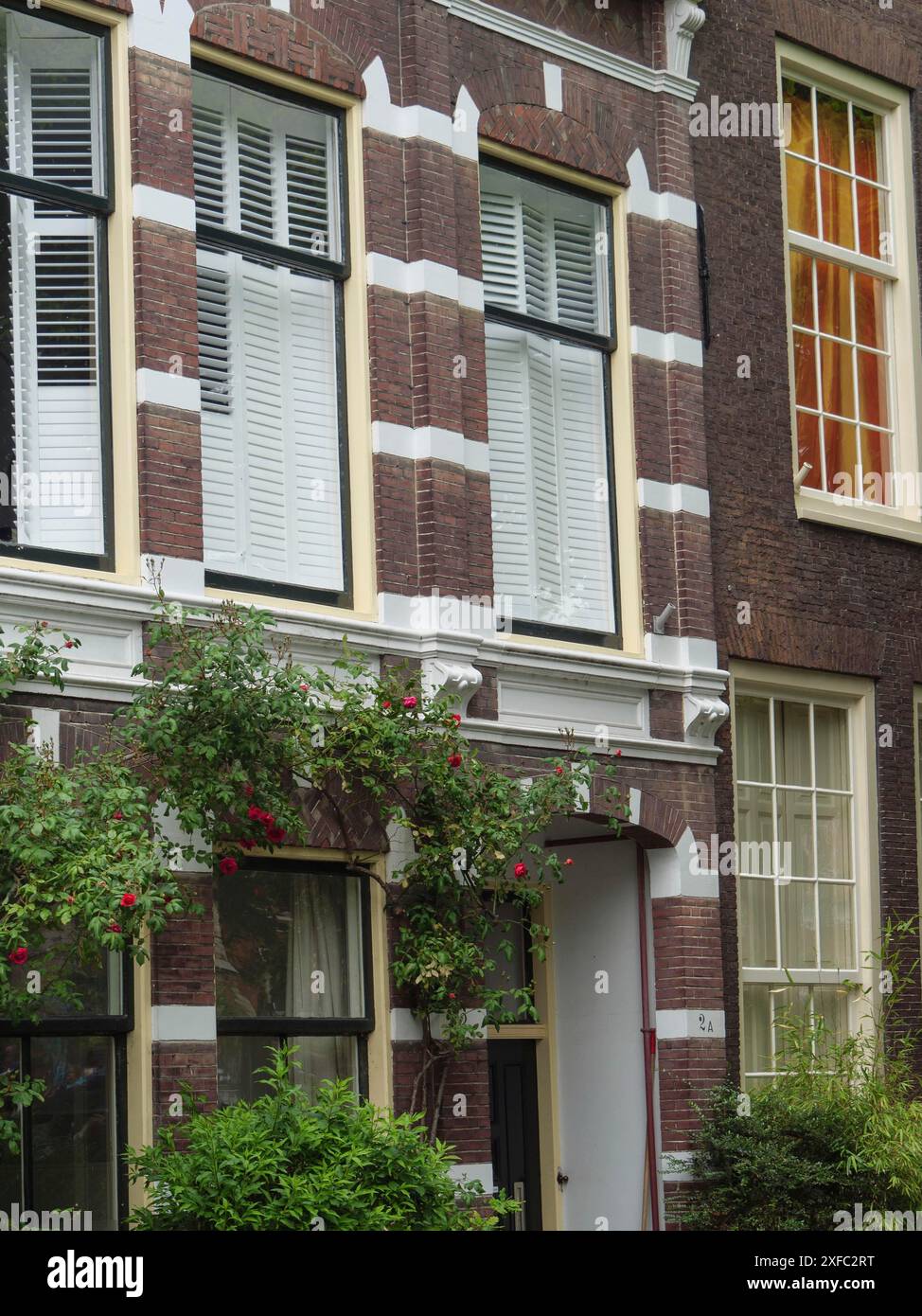 Facciata storica con persiane bianche e piante da arrampicata su una facciata in mattoni, Leida, Paesi Bassi Foto Stock