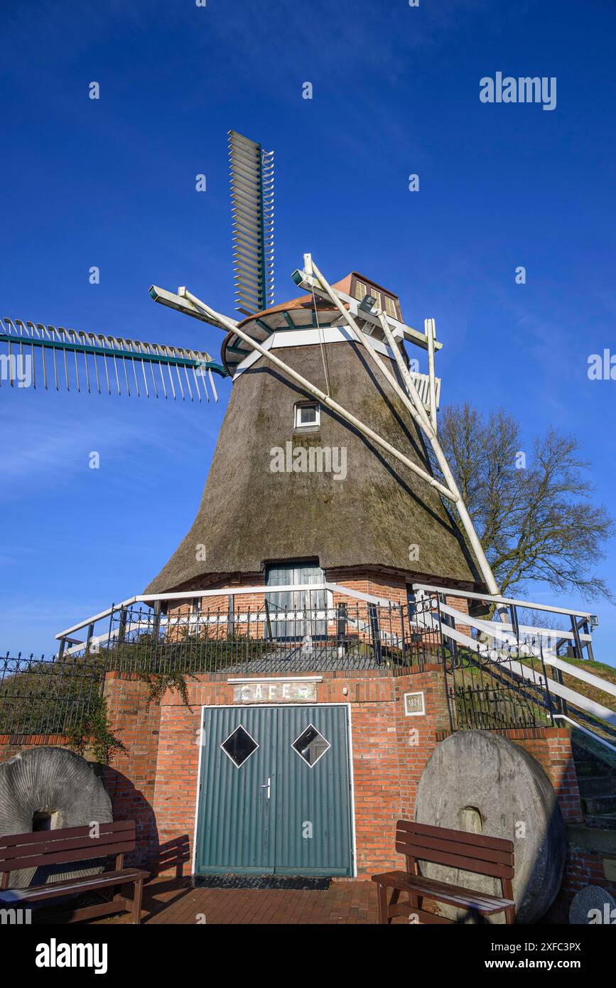 Storico mulino a vento con base in mattoni e caffetteria, panchine e cielo limpido in primo piano, giorno di sole, vuoto, Frisia orientale, Germania Foto Stock