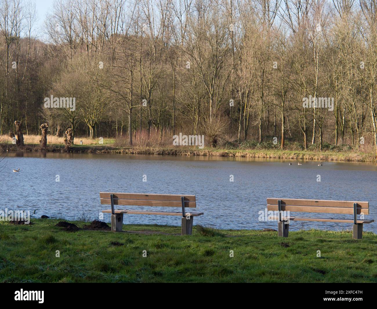 Due panchine vuote sulla riva di un fiume, circondate dalla foresta in un'atmosfera autunnale, borken, germania Foto Stock