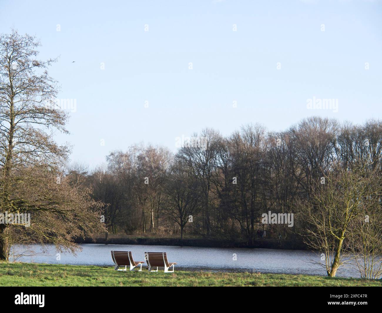 Due panchine vuote sulla riva di un lago, circondate da una fitta foresta in una giornata di sole, borken, germania Foto Stock