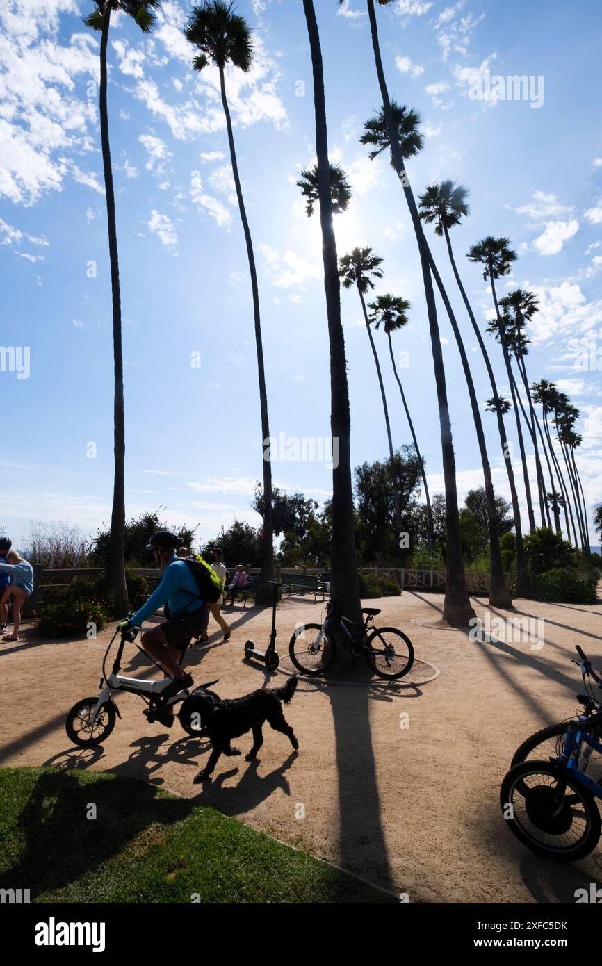 Palme e cani, Palisades Park, Santa Monica, California, Stati Uniti d'America Foto Stock