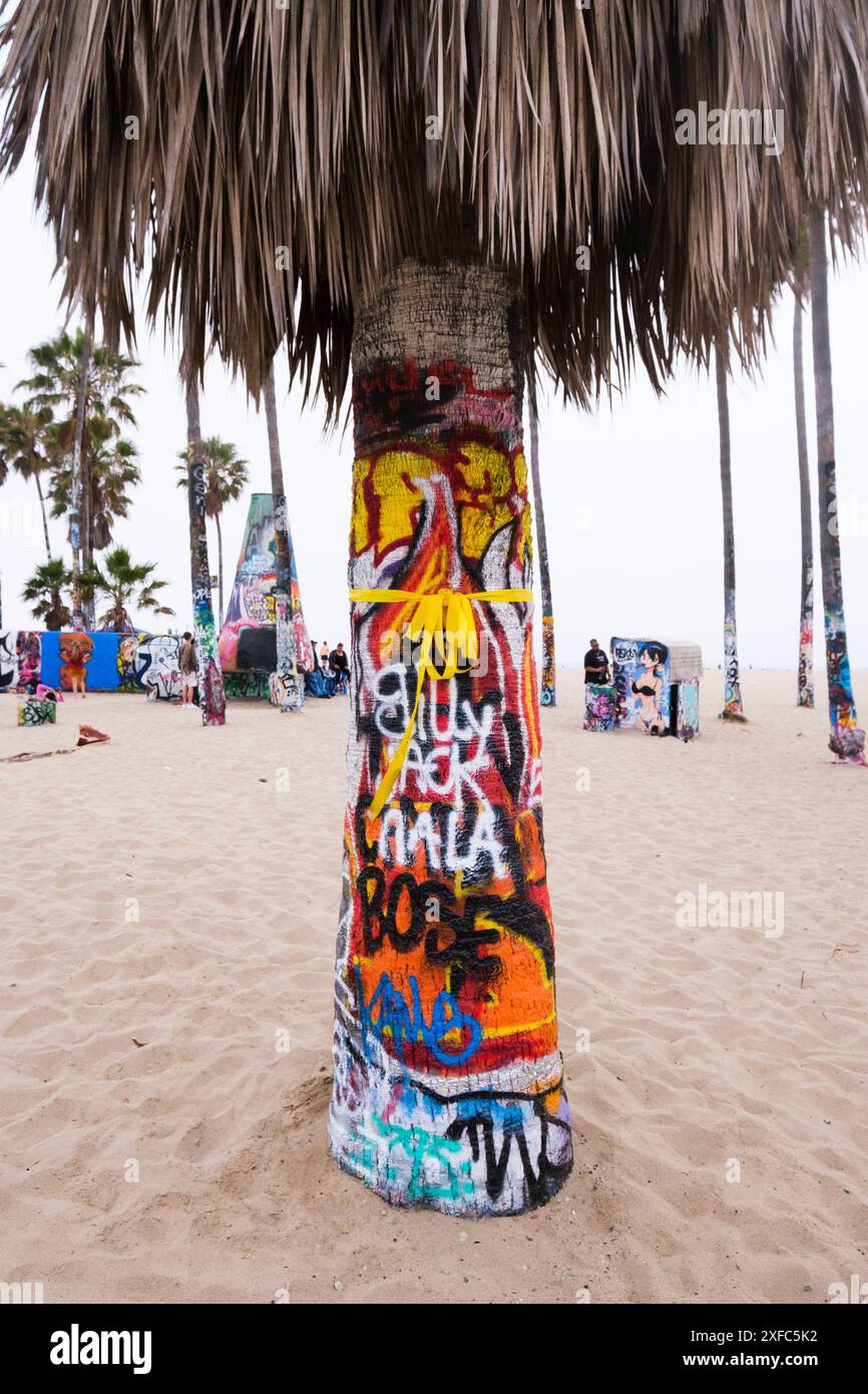 Palme con graffiti, Venice Beach, Los Angeles, California, USA Foto Stock